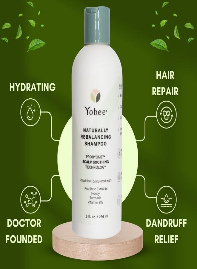 Yobee Rebalancing Shampoo – Sulfate-Free Dry, Flaky & Itchy Scalp Care | Probiotic Shampoo with Organic Honey, Turmeric, Vitamin B12 & Oat | Dandruff, Eczema & Psoriasis Relief | Doctor Founded - Image 2